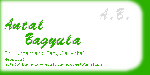 antal bagyula business card
